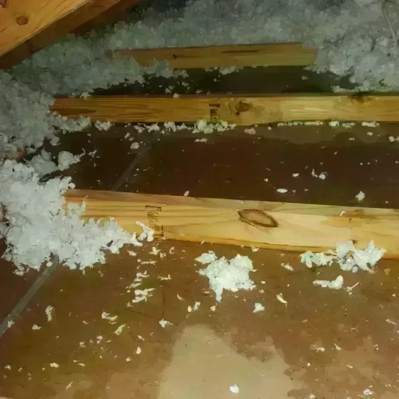 Attic Water Damage in Trowbridge Park, MI